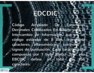 Codificación de la Información