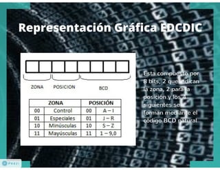 Codificación de la Información
