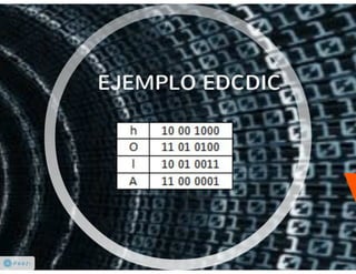 Codificación de la Información