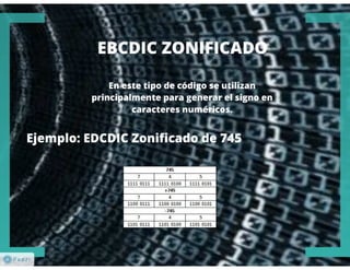 Codificación de la Información