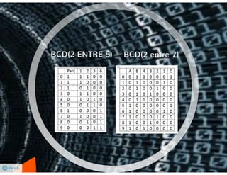 Codificación de la Información