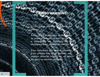 Codificación de la Información