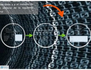 Codificación de la Información