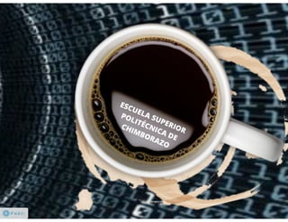 Codificación de la Información