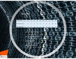 Codificación de la Información