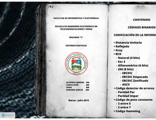 Codificación de la Información