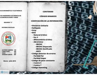Codificación de la Información