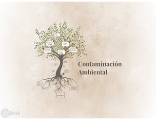 Contaminación Ambiental - Perspectiva del Consejo Municipal