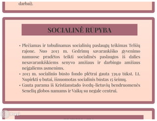 Telšių rajono savivaldybės mero V. Kleivos 2013 m. veiklos ataskaita