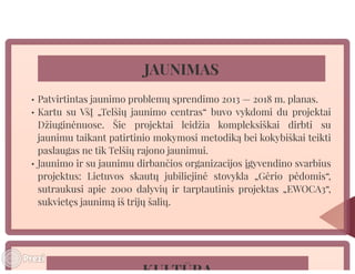 Telšių rajono savivaldybės mero V. Kleivos 2013 m. veiklos ataskaita