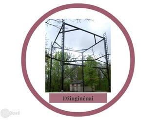 Telšių rajono savivaldybės mero V. Kleivos 2013 m. veiklos ataskaita