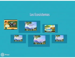 Componentes de los Ecosistemas 