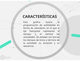 MS PROJECT