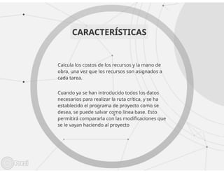 MS PROJECT