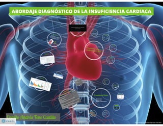 Abordaje diagnóstico y tratamiento de la Insuficiencia Cardiaca
