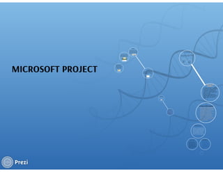 MS project