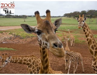 CMO Presentation September 29 2014