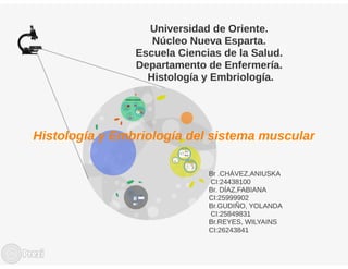 Desarrollo histologico y embrionario del sistema muscular