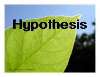 Hypothesis

http://www.flickr.com/photos/epsos/3384297473

 