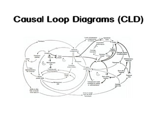 Causal Loop Diagrams (CLD)

 
