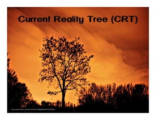Current Reality Tree (CRT)

http://www.flickr.com/photos/52518980@N00/1407558031

 