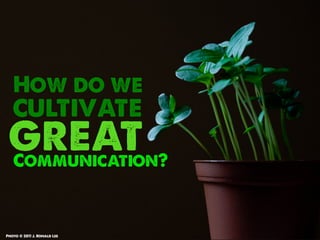 How do we
   cultivate
 great
   Communication?



Photo © 2011 J. Ronald Lee
 