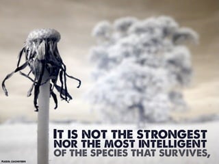 It is not the strongest
                    nor the most intelligent
                    of the species that survives,
Flickr: zachstern
 