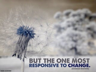 but the one most
                    responsive to change.
                                  (Charles Darwin)
Flickr: zachstern
 