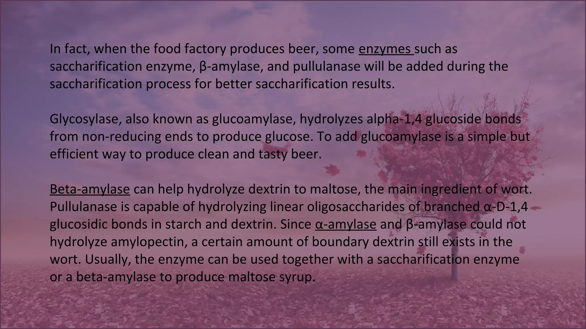 In fact, when the food factory produces beer, some enzymes such as
saccharification enzyme, β-amylase, and pullulanase will be added during the
saccharification process for better saccharification results.
Glycosylase, also known as glucoamylase, hydrolyzes alpha-1,4 glucoside bonds
from non-reducing ends to produce glucose. To add glucoamylase is a simple but
efficient way to produce clean and tasty beer.
Beta-amylase can help hydrolyze dextrin to maltose, the main ingredient of wort.
Pullulanase is capable of hydrolyzing linear oligosaccharides of branched α-D-1,4
glucosidic bonds in starch and dextrin. Since α-amylase and β-amylase could not
hydrolyze amylopectin, a certain amount of boundary dextrin still exists in the
wort. Usually, the enzyme can be used together with a saccharification enzyme
or a beta-amylase to produce maltose syrup.
 