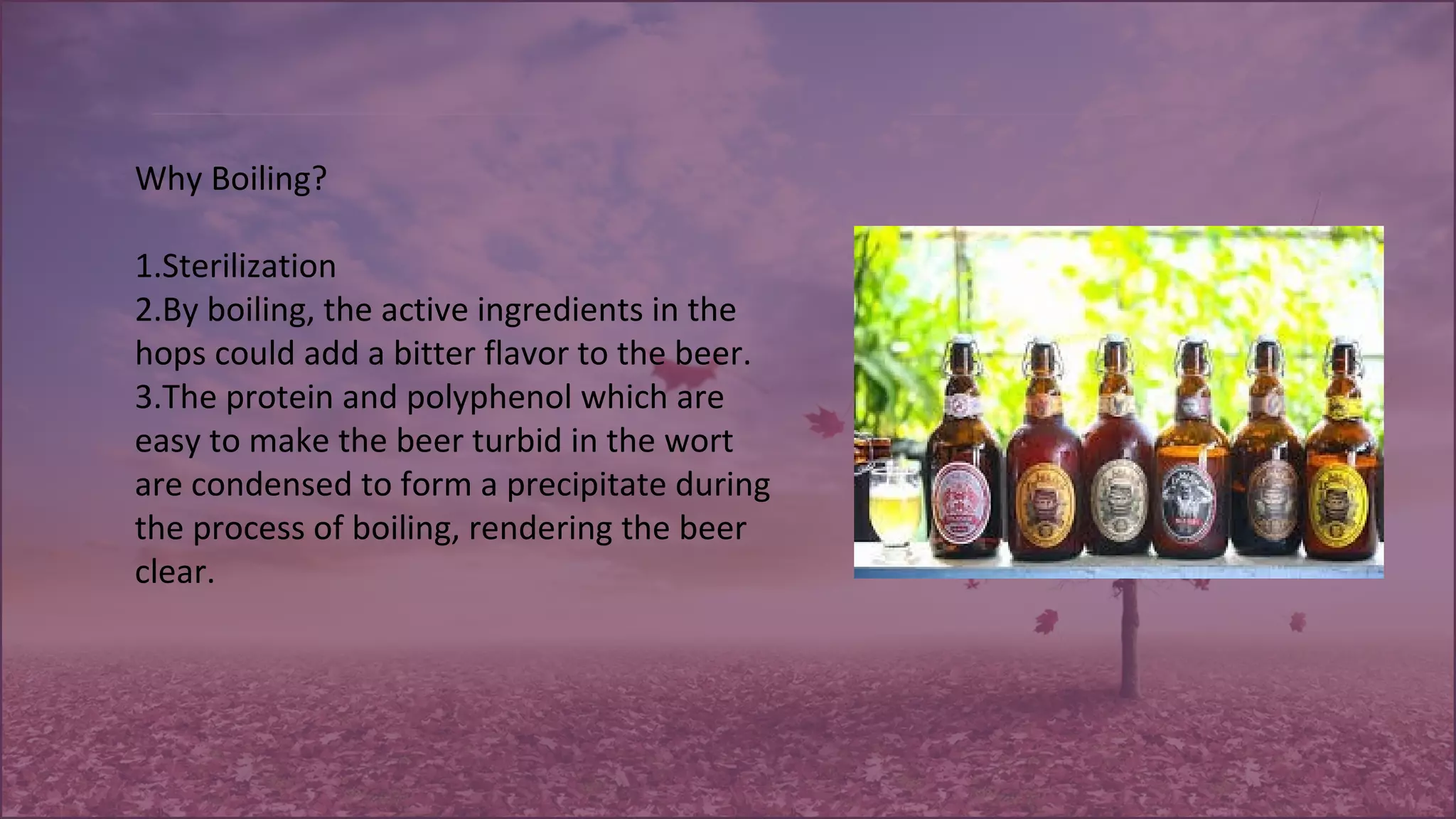 Why Boiling?
1.Sterilization
2.By boiling, the active ingredients in the 
hops could add a bitter flavor to the beer. 
3.The protein and polyphenol which are 
easy to make the beer turbid in the wort 
are condensed to form a precipitate during 
the process of boiling, rendering the beer 
clear. 
 