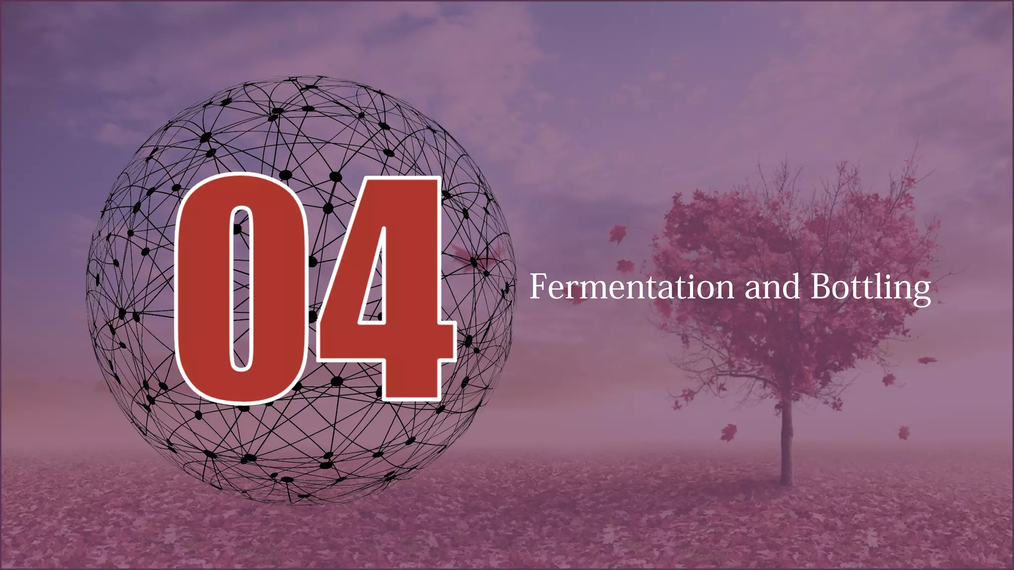 Fermentation and Bottling
 