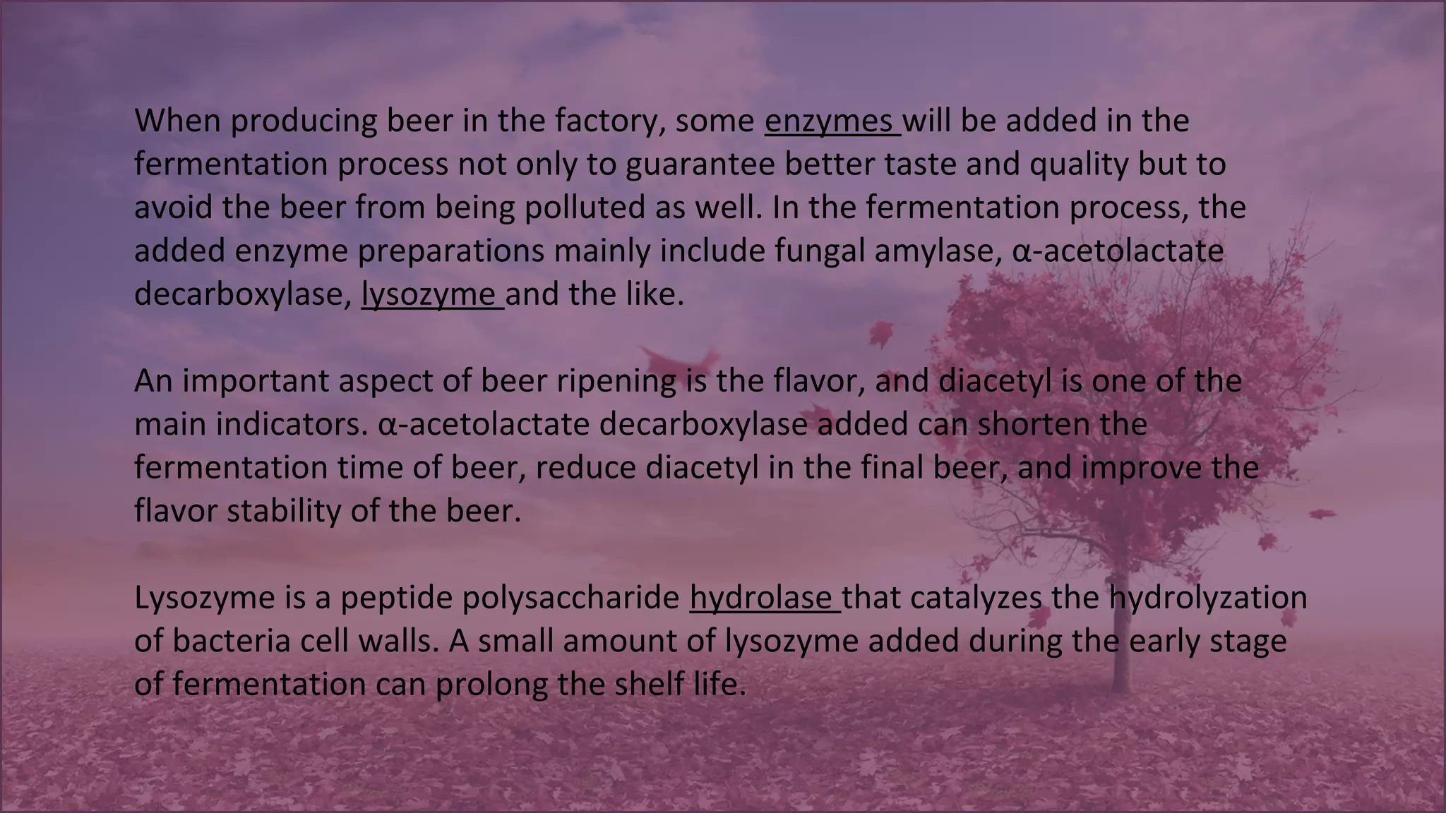When producing beer in the factory, some enzymes will be added in the
fermentation process not only to guarantee better taste and quality but to
avoid the beer from being polluted as well. In the fermentation process, the
added enzyme preparations mainly include fungal amylase, α-acetolactate
decarboxylase, lysozyme and the like.
An important aspect of beer ripening is the flavor, and diacetyl is one of the
main indicators. α-acetolactate decarboxylase added can shorten the
fermentation time of beer, reduce diacetyl in the final beer, and improve the
flavor stability of the beer.
Lysozyme is a peptide polysaccharide hydrolase that catalyzes the hydrolyzation
of bacteria cell walls. A small amount of lysozyme added during the early stage
of fermentation can prolong the shelf life.
 