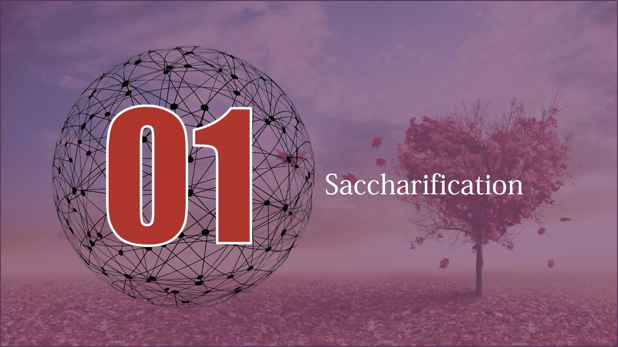 Saccharification
 