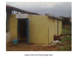 Labour room and Feed storage room
 