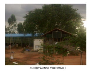Manager Quarters ( Wooden House )
 
