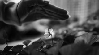 Photo by Jake Davies on Unsplash
 