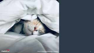 ​9Photo by Kate Stone Matheson on Unsplash
 