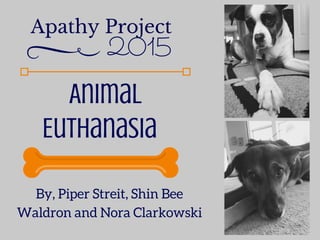 Apathy Project
2015
Animal
Euthanasia
By, Piper Streit, Shin Bee
Waldron and Nora Clarkowski
 