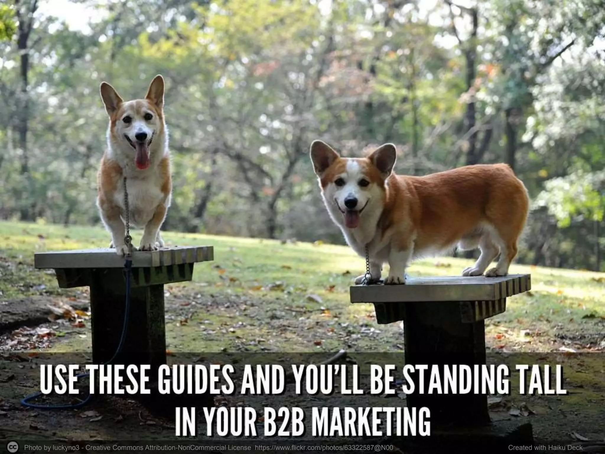 Photo by luckyno3 - Creative Commons Attribution-NonCommercial License https://www.flickr.com/photos/63322587@N00 Created with Haiku Deck
 