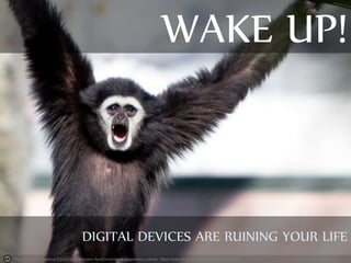 Photo by fPat - Creative Commons Attribution-NonCommercial-ShareAlike License https://www.flickr.com/photos/22729391@N03 Created with Haiku Deck
WAKE UP!
DIGITAL DEVICES ARE RUINING YOUR LIFE
 