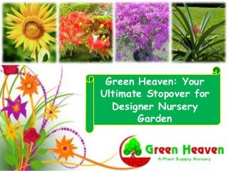 Green Heaven: Your
Ultimate Stopover for
Designer Nursery
Garden
 