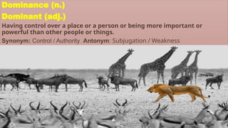 Control Antonym Your Worldasdasdasdasdsadasdasdawafasf.pptx