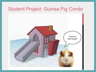 Student Project: Guinea Pig Condo
 