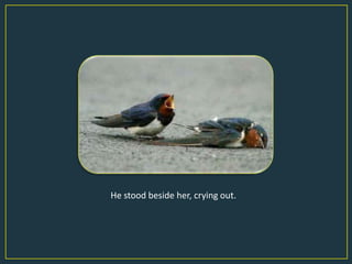 He stood beside her, crying out.
 