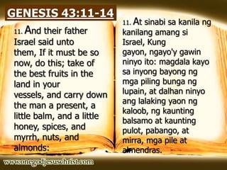 GENESIS 43:11-14
11. And their father
Israel said unto
them, If it must be so
now, do this; take of
the best fruits in the
land in your
vessels, and carry down
the man a present, a
little balm, and a little
honey, spices, and
myrrh, nuts, and
almonds:
11. At sinabi sa kanila ng
kanilang amang si
Israel, Kung
gayon, ngayo'y gawin
ninyo ito: magdala kayo
sa inyong bayong ng
mga piling bunga ng
lupain, at dalhan ninyo
ang lalaking yaon ng
kaloob, ng kaunting
balsamo at kaunting
pulot, pabango, at
mirra, mga pile at
almendras.
 