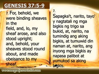 GENESIS 37:5-9
7. For, behold, we
were binding sheaves
in the
field, and, lo, my
sheaf arose, and also
stood upright;
and, behold, your
sheaves stood round
about, and made
obeisance to my
sheaf.
7.
Sapagka't, narito, tayo'
y nagtatali ng mga
bigkis ng trigo sa
bukid, at, narito, na
tumindig ang aking
bigkis, at tumuwid din
naman at, narito, ang
inyong mga bigkis ay
napasa palibot at
yumukod sa aking
bigkis.
 
