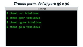 Conc. perm. de (w), (r) e (x) para (u), (g) e (o)
Terminal
$ chmod u+r tchelinux
$ chmod go+r tchelinux
$ chmod ugo+w tche...