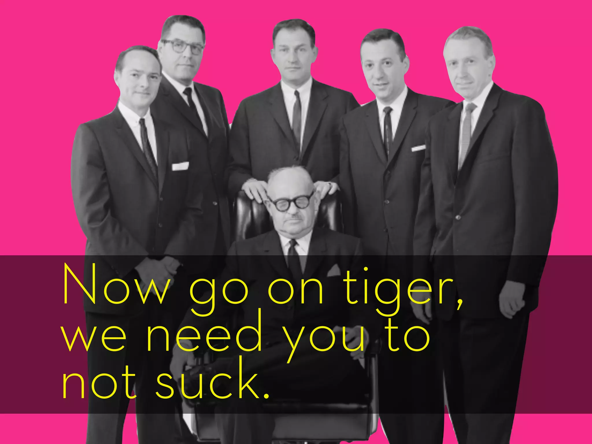 Now go on tiger,
we need you to
not suck.
 