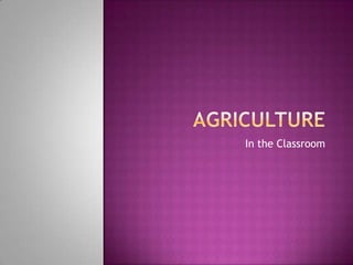 Agriculture In the Classroom 