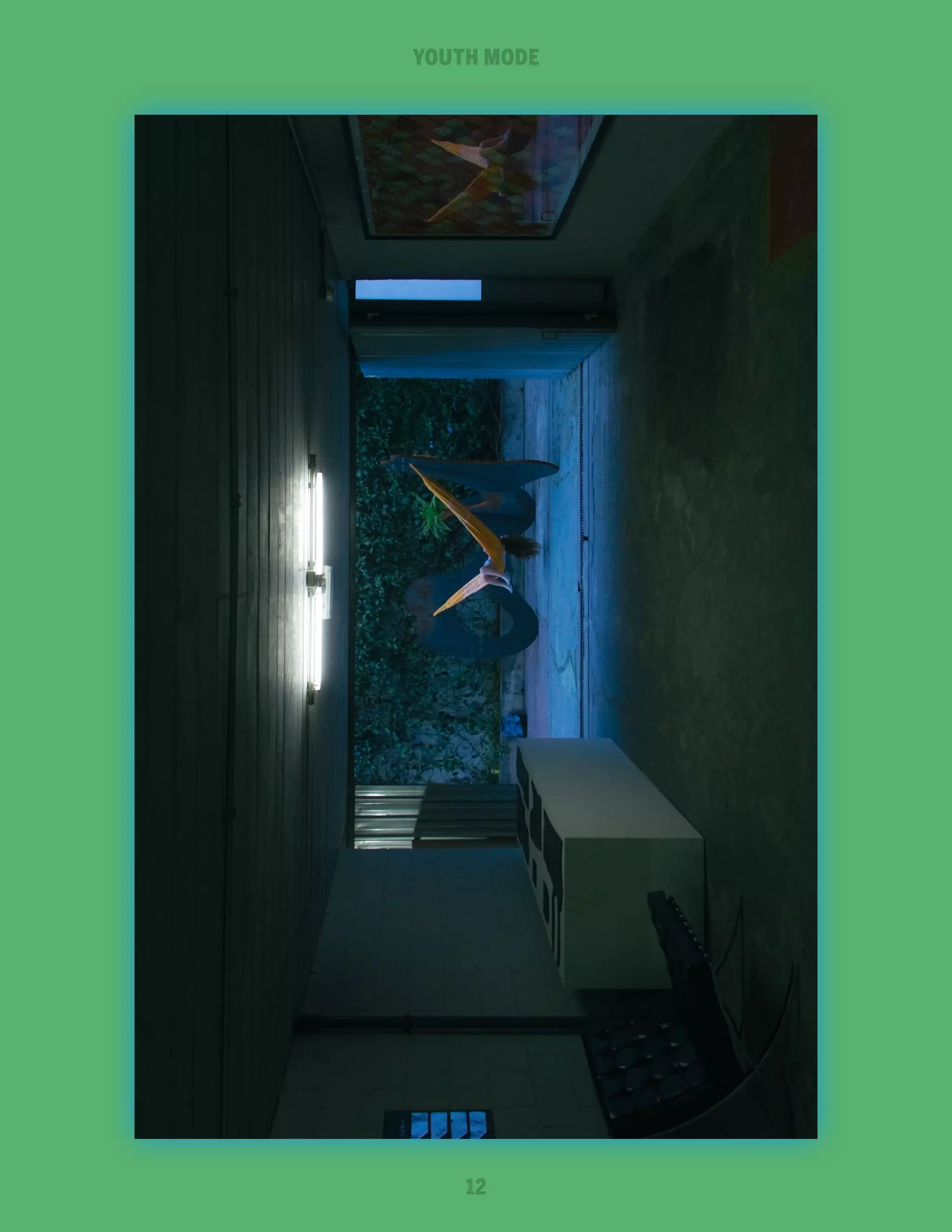 SECTIONMODE
YOUTH NAME

12

 